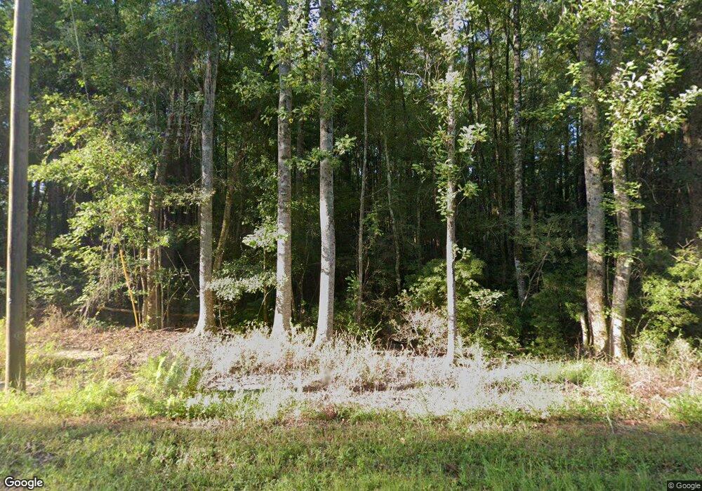 4872 Turner Ln, Blackshear, GA 31516 - photo 1