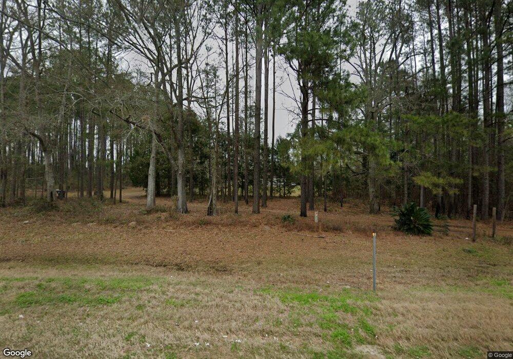 3175 Us Highway 84, Dixie, GA 31629 - photo 1