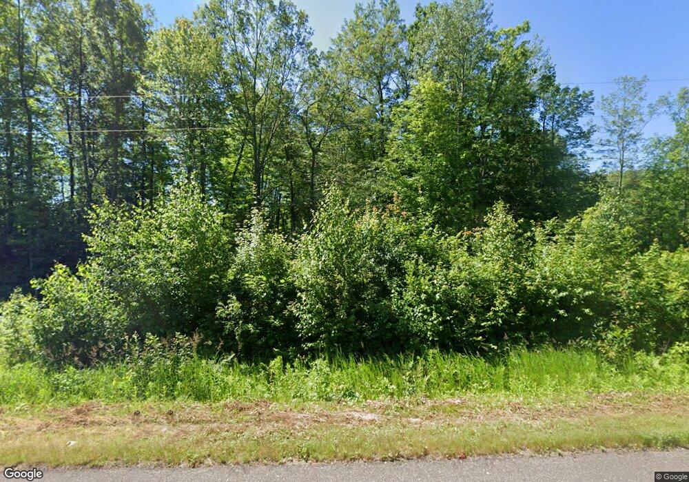 W16725 Horseshoe Lake Rd, Chetek, WI 54728 - photo 1