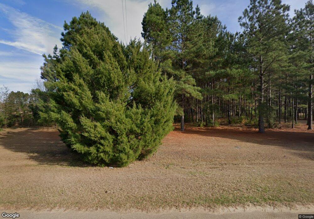 6570 Radney Rd, Damascus, GA 39841 - photo 1