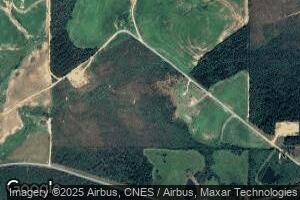 166 Robert McGowan Rd, Collins, MS 39428