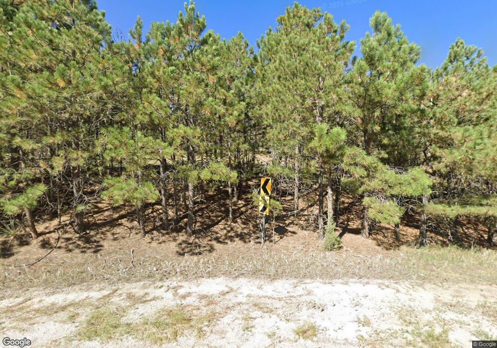 17350 Lodgepole Rd, Peyton, CO 80831 - photo 1