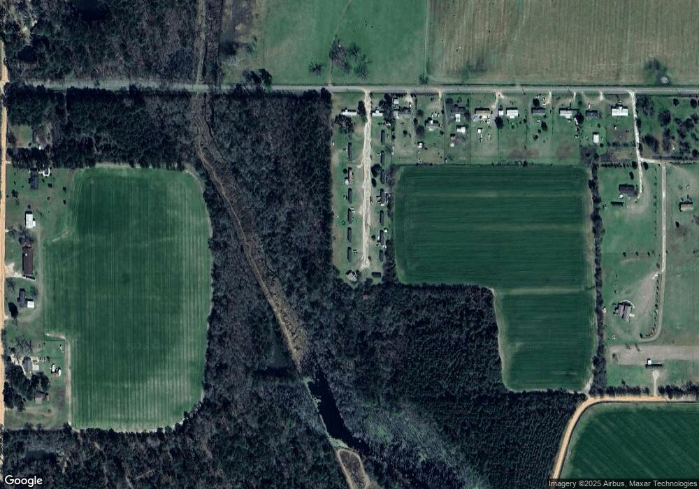 592 Old Egg Rd, Cairo, GA 39827 - photo 1