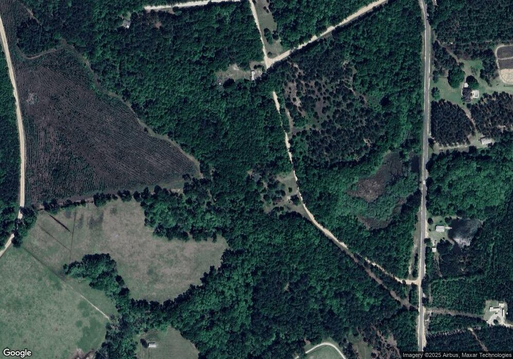 215 Pete Hagan Rd, Claxton, GA 30417 - photo 1