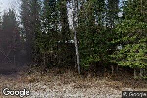 39073 Turtle Lake Rd, Bigfork, MN 56628