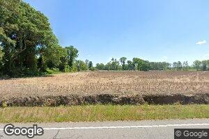 12025 Plowden Mill Rd, Alcolu, SC 29001
