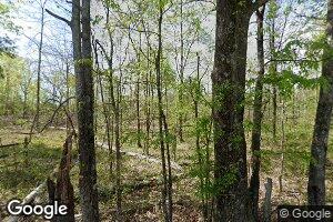 3500 Double Bridge Rd, Steele, AL 35987
