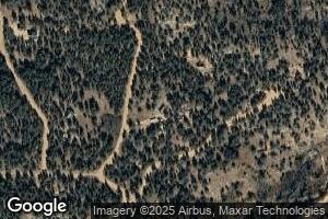 118 Grizzly Dr, Ward, CO 80481