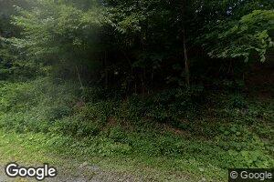 492 Grapefield Rd, Bastian, VA 24314