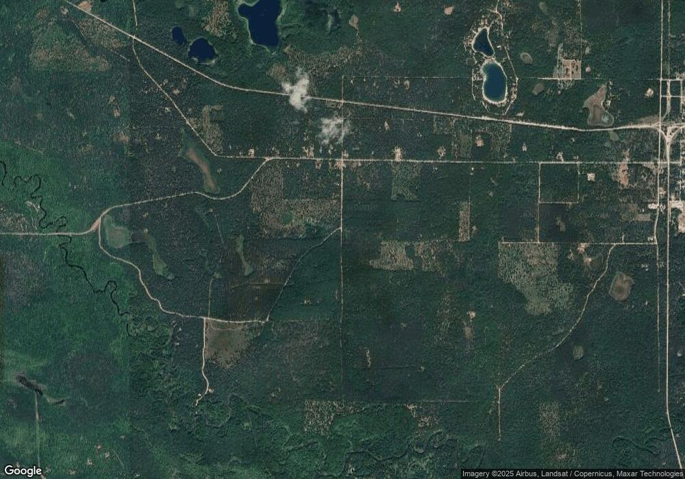 901 S Jenks Rd, Baldwin, MI 49304 - photo 1