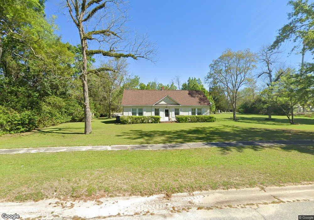 170 Durham St SW, Baconton, GA 31716 - photo 1