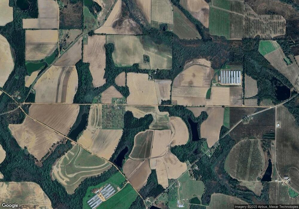 00 Store Rd, Pelham, GA 31779 - photo 1