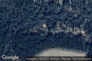 150 Ward Rd (2 Acres), Attapulgus, GA 39815