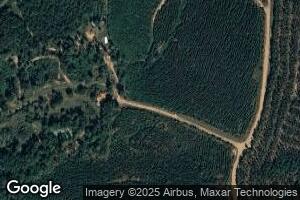 169 Tallow Lick Dr, Trout, LA 71371