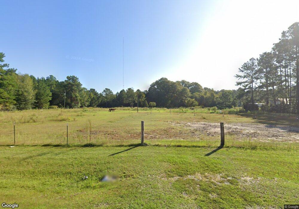 965 Old Dixie School Rd, Alma, GA 31510 - photo 1