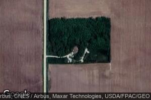 29345 130th Ave, Donahue, IA 52746