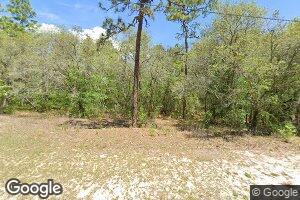 4041 N Hatchet Cir, Beverly Hills, FL 34465