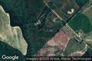 210 Preston Spires Rd, Rhine, GA 31077