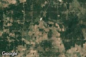 N/A Dyer Rd, Turner, MI 48765