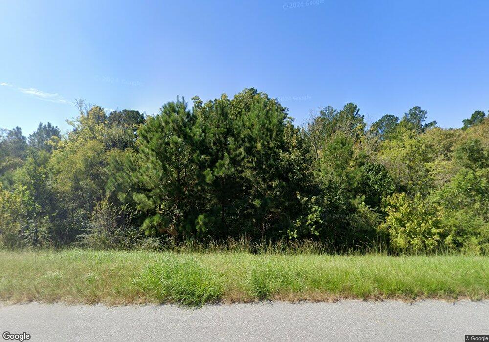 87 Jeff Billings Ln, Jakin, GA 39861 - photo 1