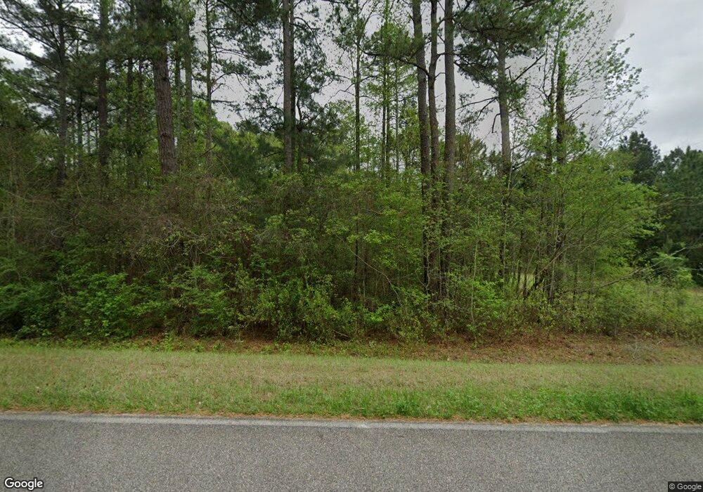 1706 Spence Rd, Pelham, GA 31779 - photo 1