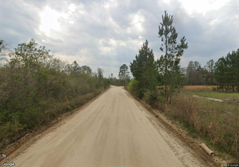 Tyson Ro (County Road 169) Waynesville, Brunswick, GA 31566 - photo 1