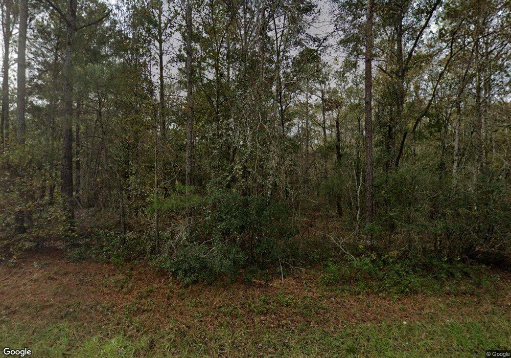 990 Patterson Dr, Guyton, GA 31312 - photo 1