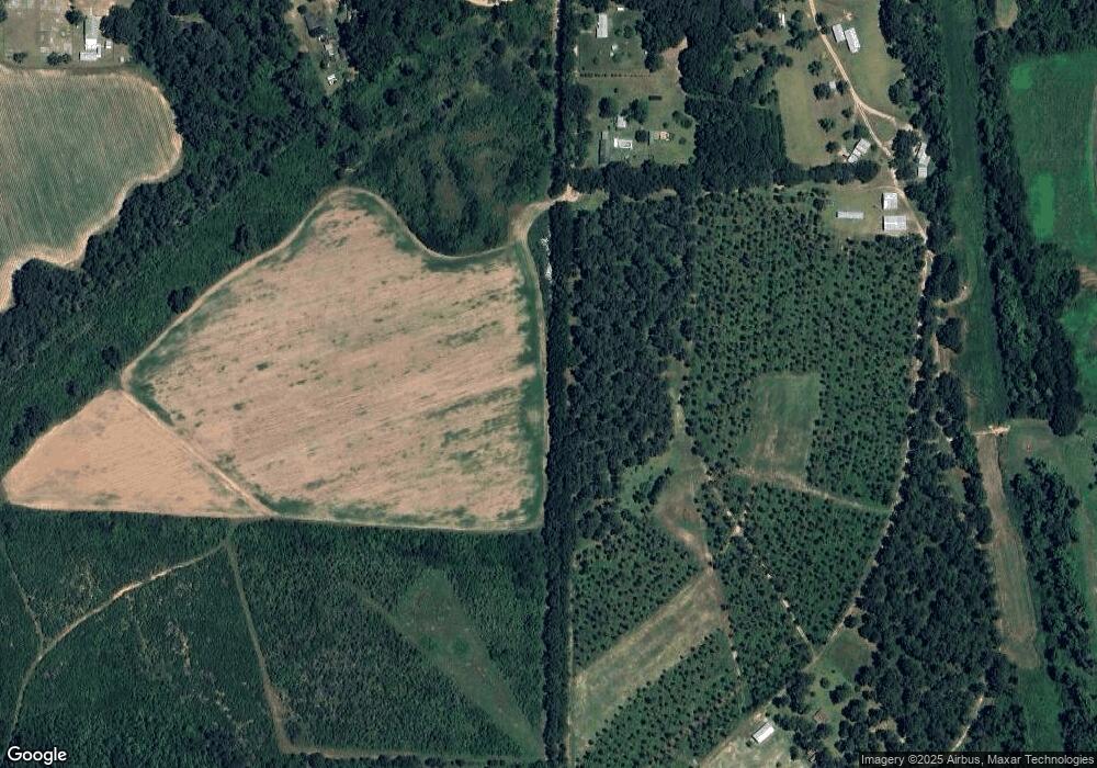 117 Country Ln Rd, Climax, GA 39834 - photo 1