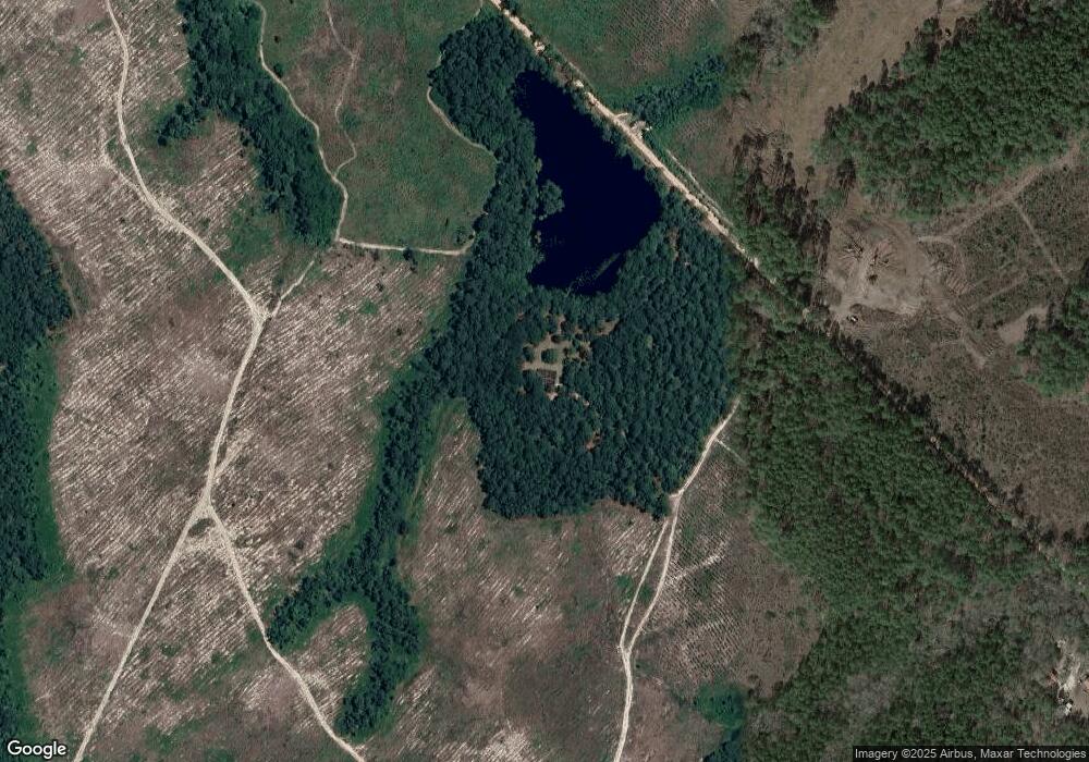 293 Murphy McRae Rd, Helena, GA 31037 - photo 1