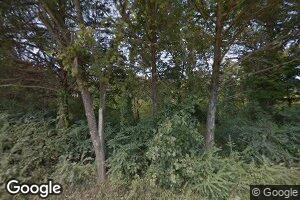 505 Mountain Rd, Washburn, MO 65772