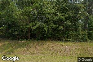 63 Bubba Hinton Rd, Butler, GA 31006