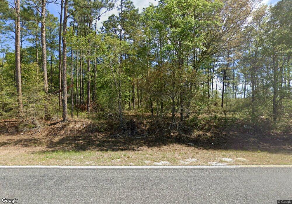 5026 Ga Highway 90, Willacoochee, GA 31650 - photo 1