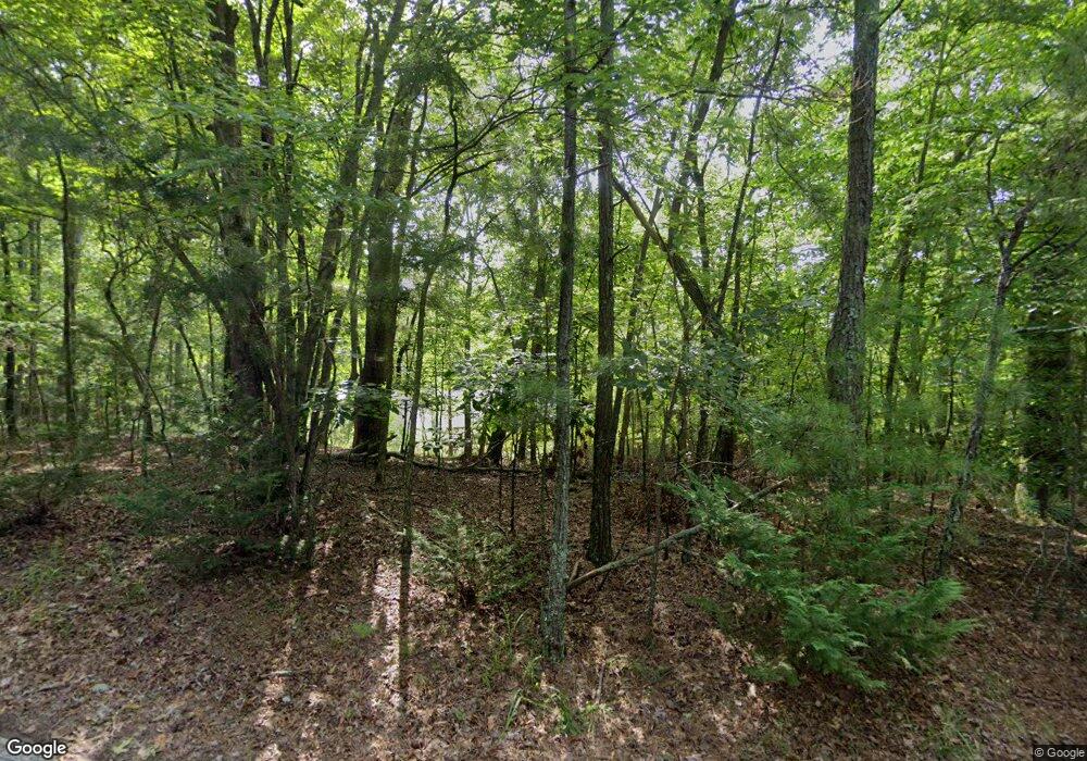 1313 Orlon Dr, Ellijay, GA 30540 - photo 1