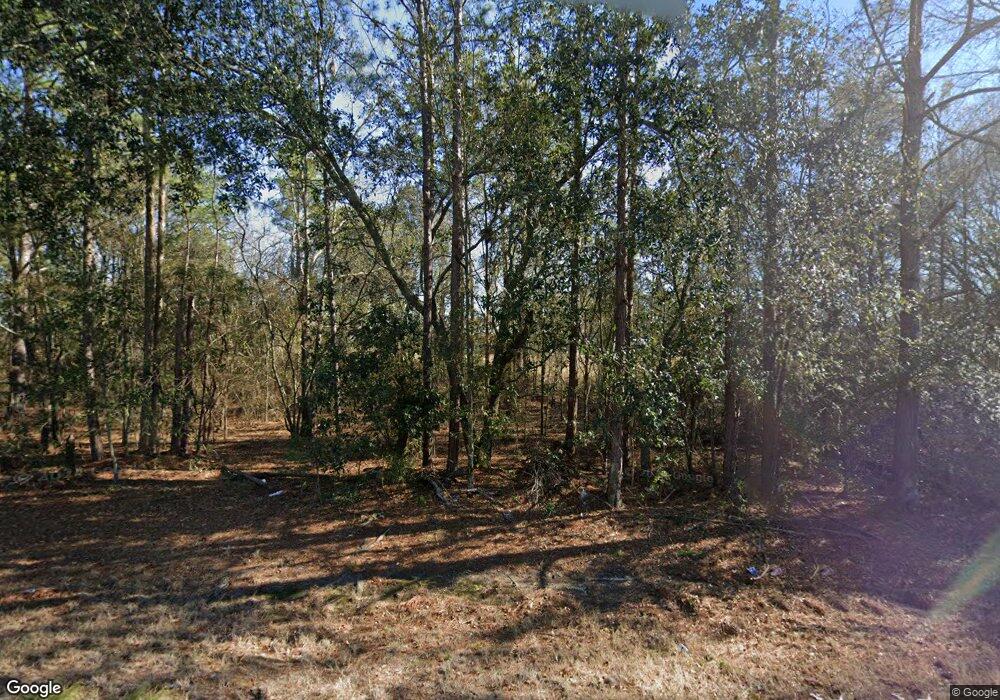 4537 Ga Highway 111, Hartsfield, GA 31756 - photo 1