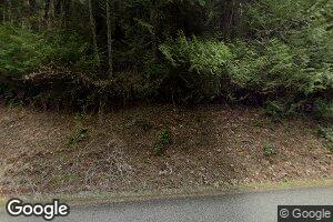 2405 Dosewallips Rd, Brinnon, WA 98320