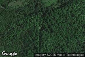 N13298 Detemple Lane R 3, Daggett, MI 49821