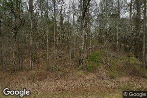 1087 Steedley Rd, Millport, AL 35576