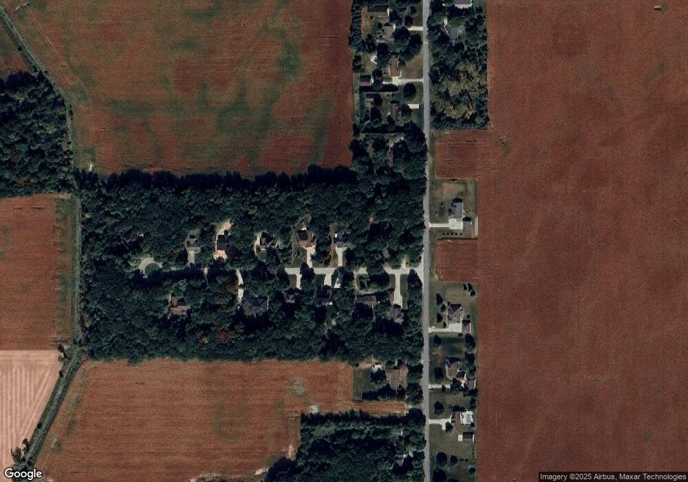 9941 Beech Tree Ln, Frankenmuth, MI 48734 - photo 1