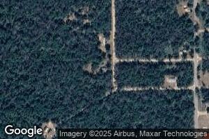 7449 S Mount Vernon Ave, Baldwin, MI 49304