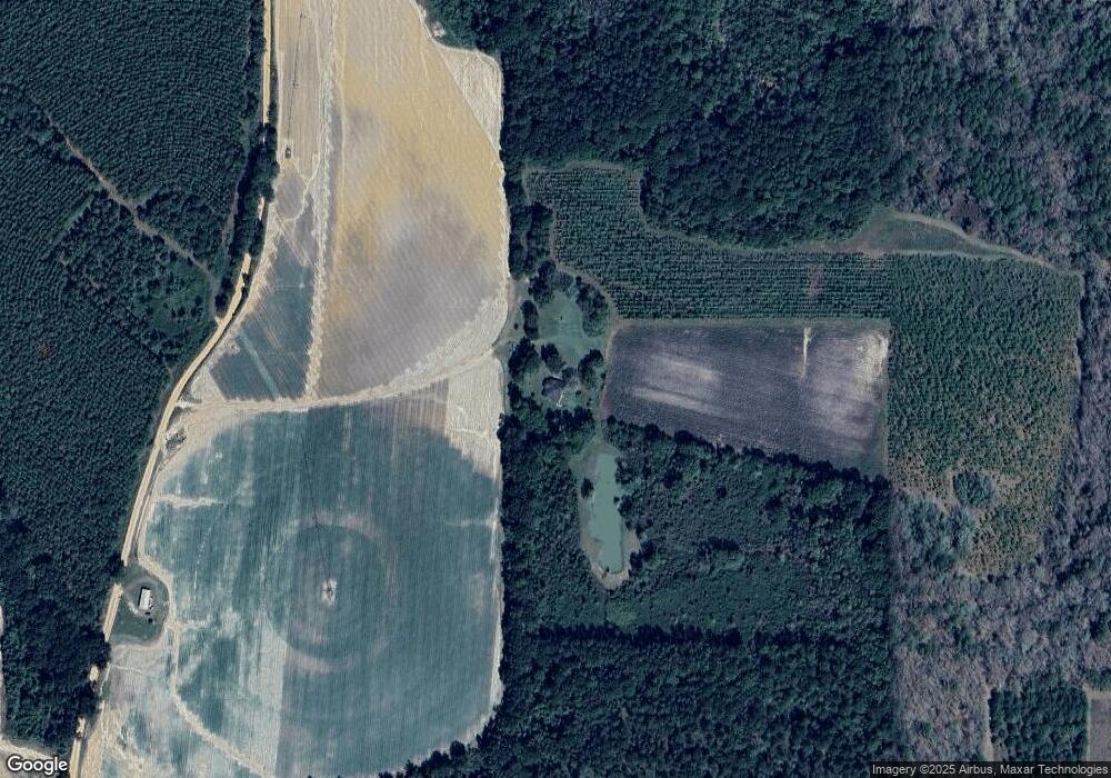 1420 Son Wright Rd, Dixie, GA 31629 - photo 1