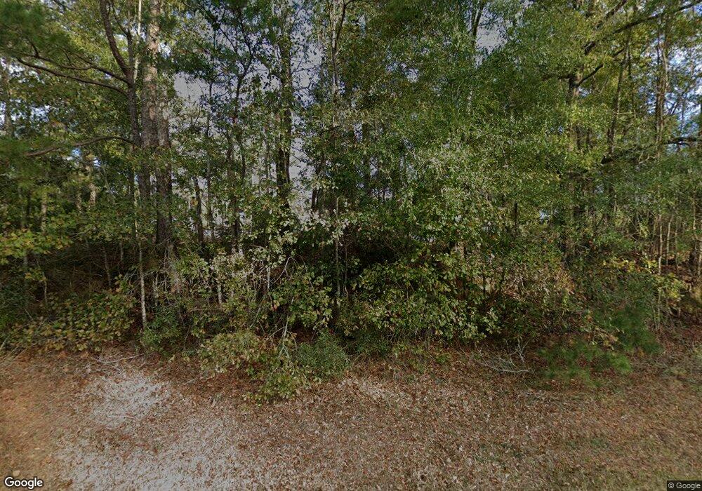 219 Carl Cloud Rd, Climax, GA 39834 - photo 1