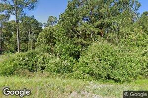 4176 Ga Highway 33 S, Doerun, GA 31744