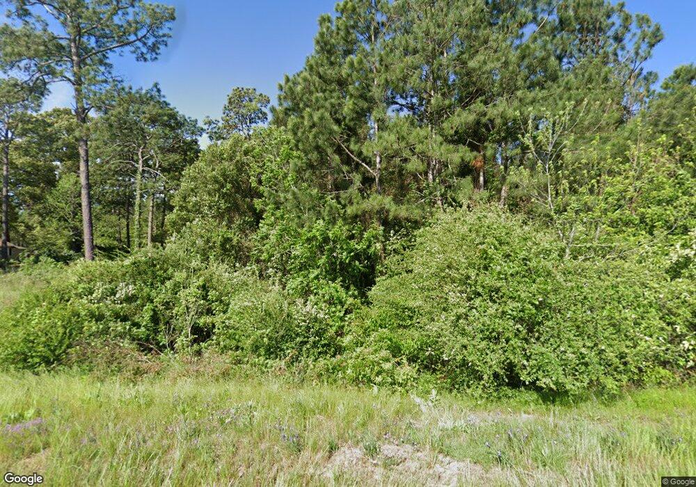 4176 Ga Highway 33 S, Doerun, GA 31744 - photo 1