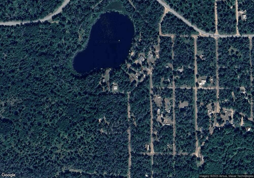 8587 S Bradby Blvd, Baldwin, MI 49304 - photo 1