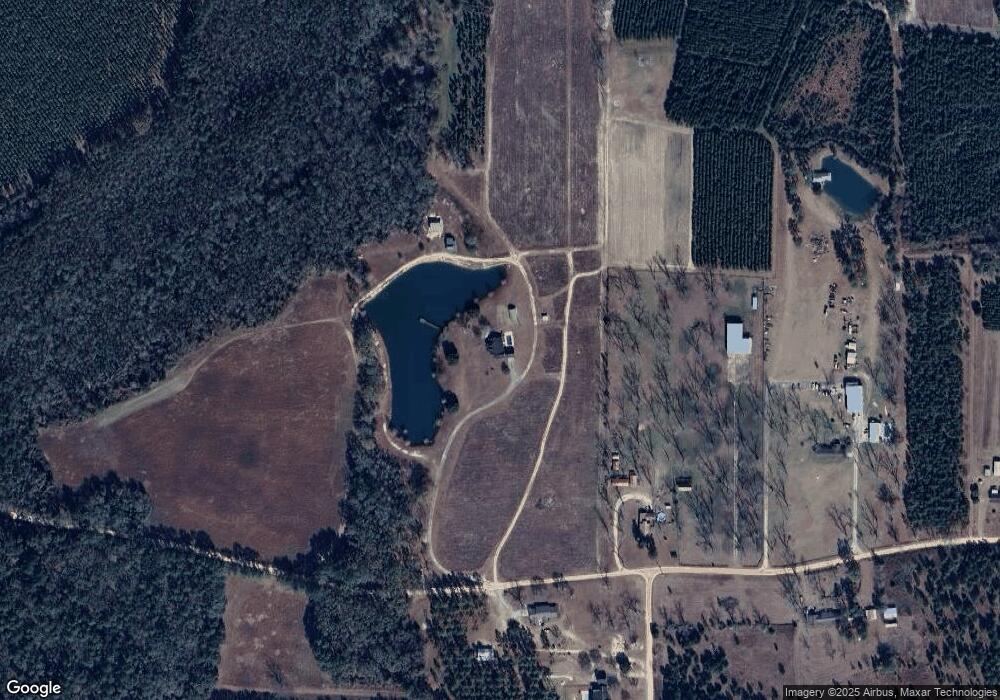 4430 Molly Branch Rd, Blackshear, GA 31516 - photo 1