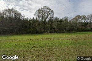 26072 County Road 62, Dozier, AL 36028