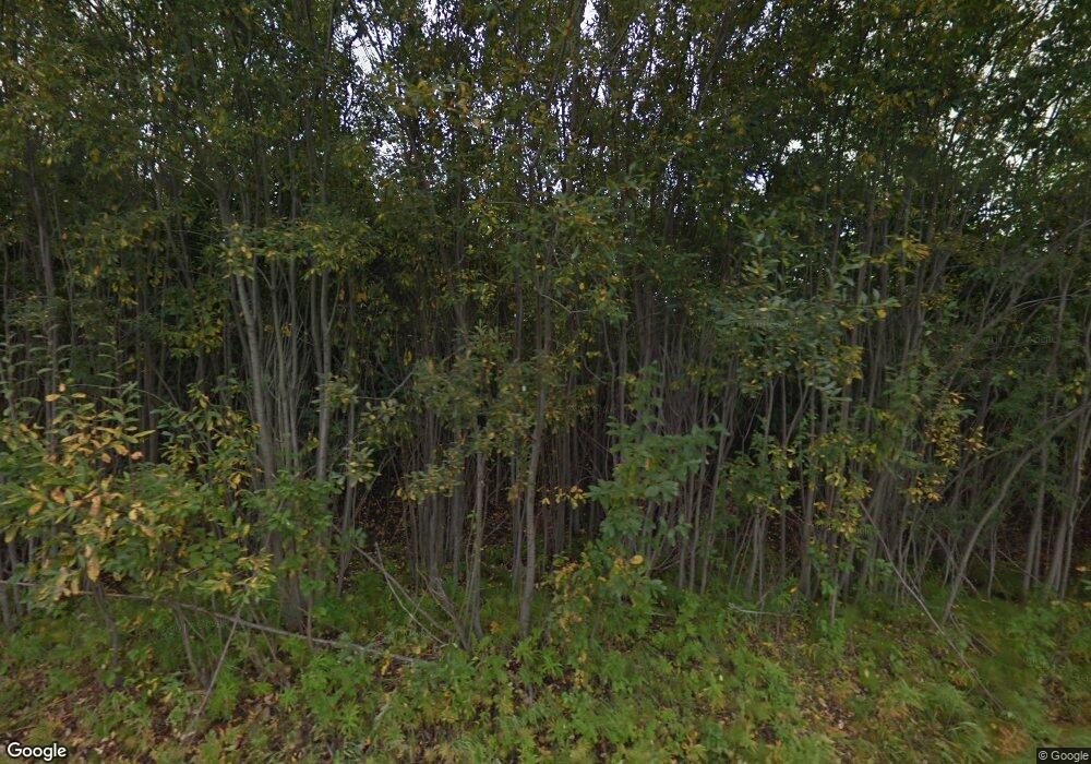 13138 W Sheashona Dr, Big Lake, AK 99652 - photo 1