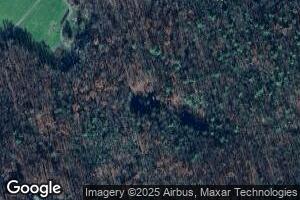 435 Cove Run Acres Dr, Mathias, WV 26812