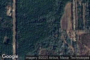792 Mccall Rd, Georgiana, AL 36033