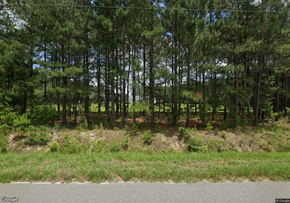 771 Raines Station Rd, Cordele, GA 31015 - photo 1